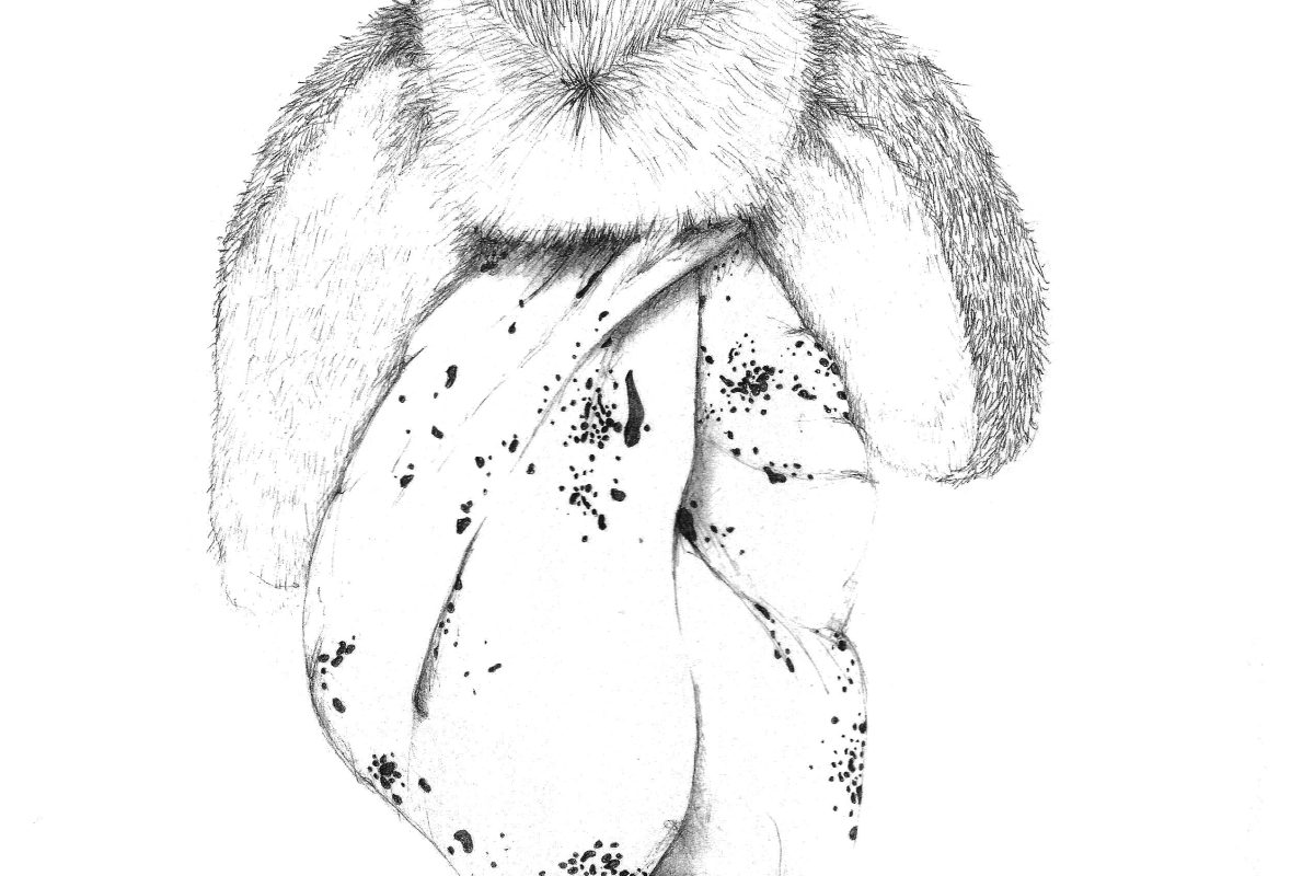 Drawing Rabbit_Taxidermic Laboratory by Amber Veel.