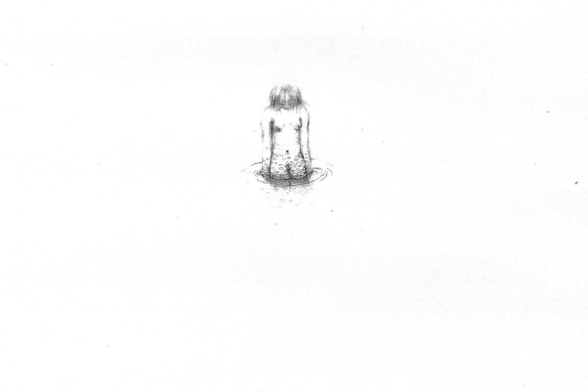 Enrtopia_drawing I_Taxidermic Laboratory by Amber Much.