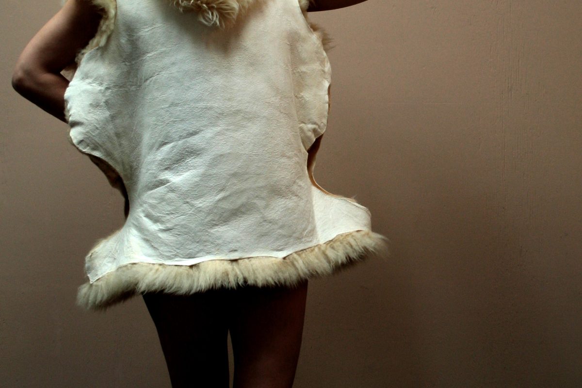 Schafsfell_Taxidermisches Labor von amber much